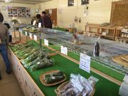 のっぷい農産物直売所の写真3