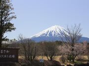 なるさわ活き活き広場の写真1