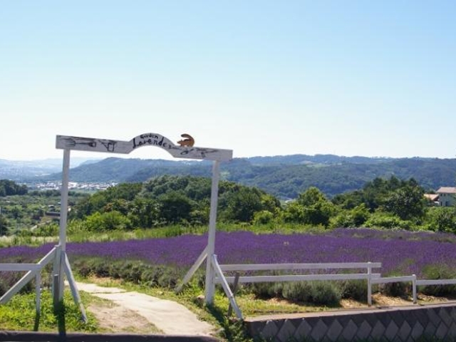 信州国際音楽村(ラベンダー畑付近)の写真1