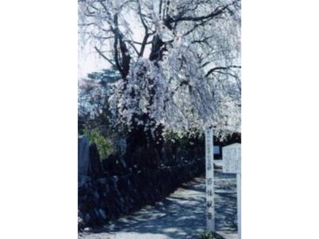 仏法寺跡の百体観音の写真1