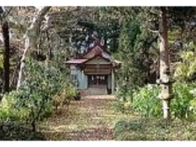 熊野神社の写真1