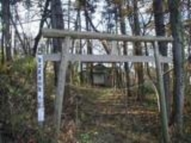 蓮沼神社の写真1