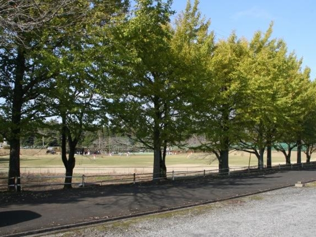 日向の森野球場の写真1