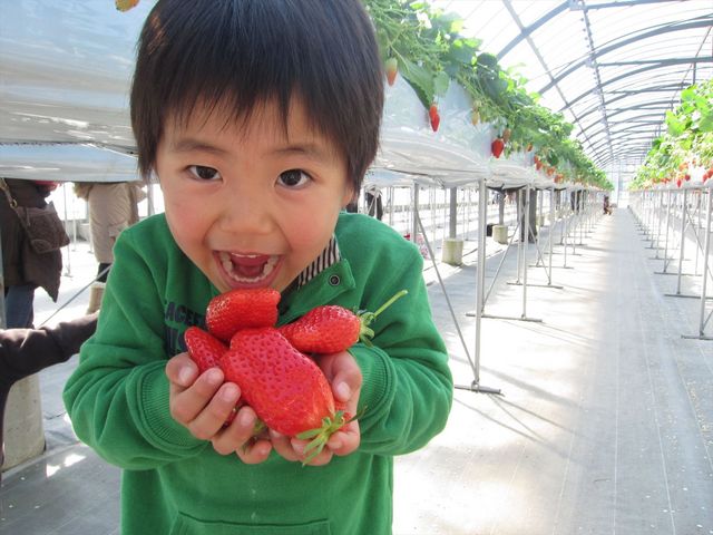 おざきいちご園
