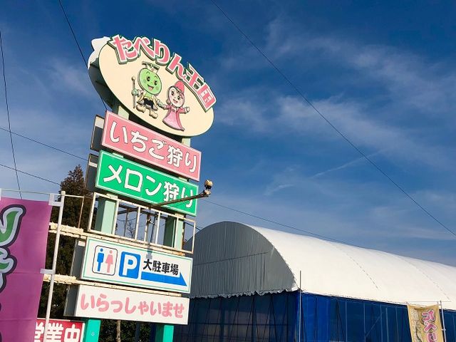 たべりん王国の写真1