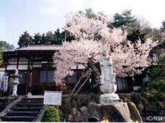 慈眼寺の写真1