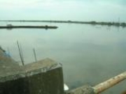 八郎潟残存湖の写真2