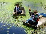 じゅんさい摘み採り体験の写真4