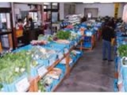 ドラゴンフレッシュセンターの写真3