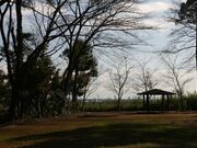 成東城跡公園展望台の写真1