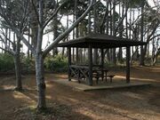 成東城跡公園展望台の写真3