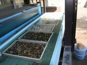 焼きはまの店土屋水産の写真2