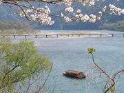屋形舟さこやの写真4