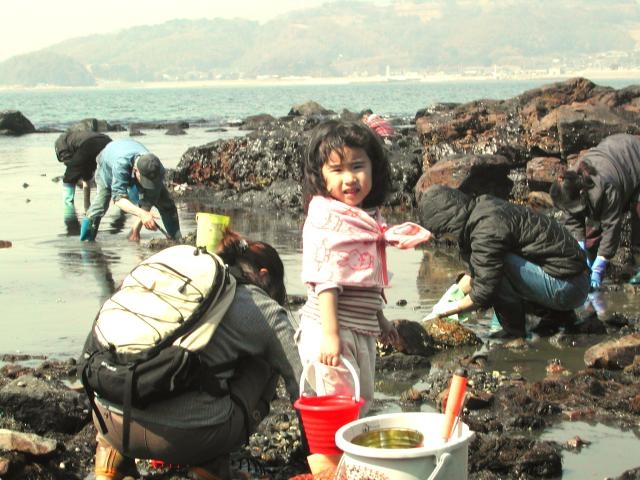 潮干狩り(松島漁場)