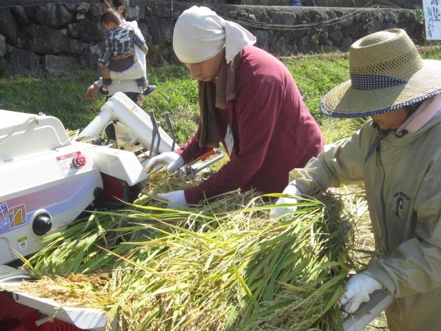 10月:酒塾2回目(稲こぎ)_ザ ・ 酒 塾