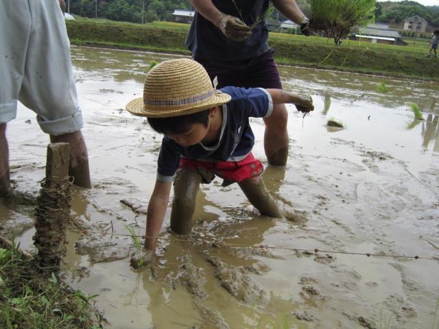 5月:酒塾1回目(田植え)_ザ ・ 酒 塾