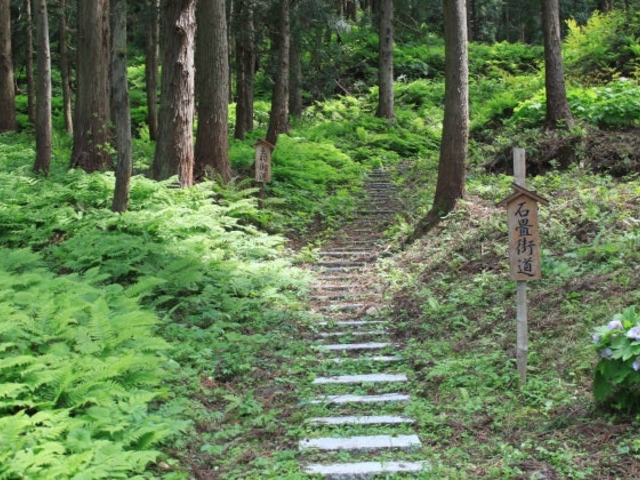 出羽街道の写真1