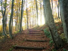 句碑公園の写真1