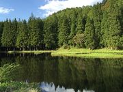 重池大池自然観察広場の写真1