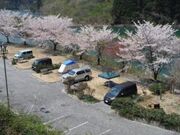 二子島森林公園オートキャンプ場の写真2