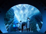 上越市立水族博物館 うみがたりの写真2