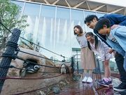 上越市立水族博物館 うみがたりの写真3