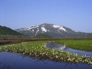 尾瀬国立公園(新潟県魚沼市)の写真1