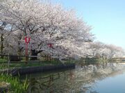 弁天潟風致公園の写真2