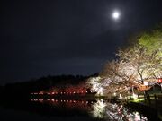 弁天潟風致公園の写真3