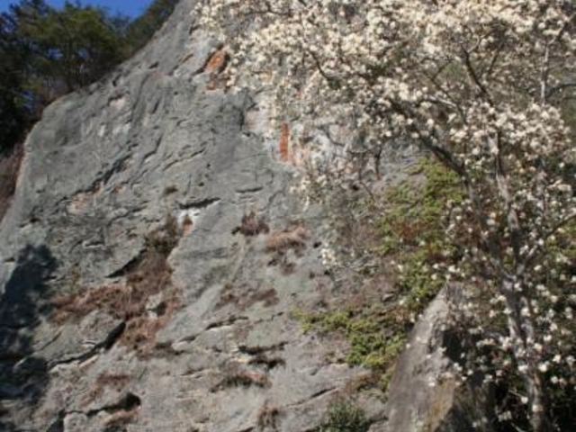 佐貫観音の写真1