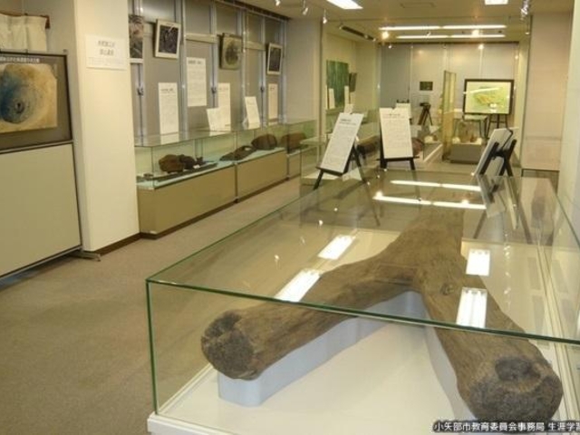 おやべふるさと歴史館の写真1