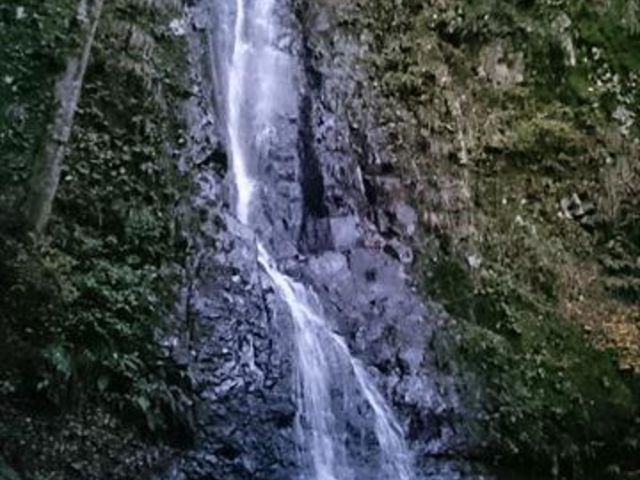福地のお滝さんの写真1