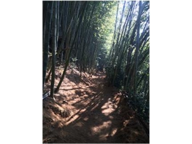 四国遍路道 恩山寺道 立江寺道の写真1