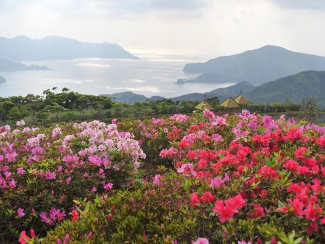 峰田山公園の写真1