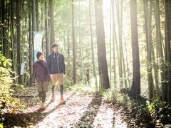 熊野古道伊勢路の写真1