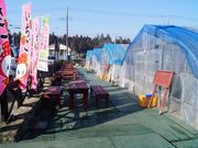 吉村農園の写真3