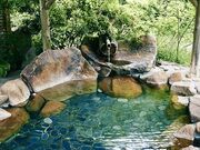 斐乃上温泉 かたくりの里 民宿たなべ(日帰り温泉)の写真1