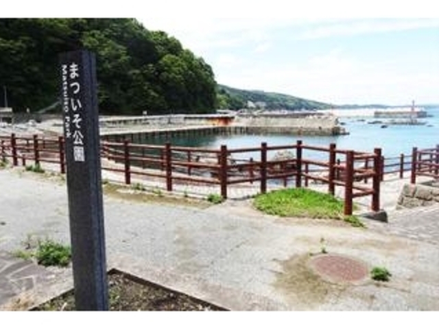 まついそ公園の写真1