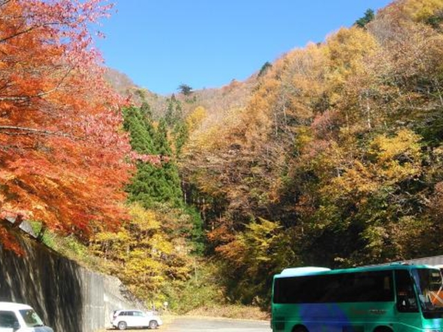 迦葉山の紅葉の写真1