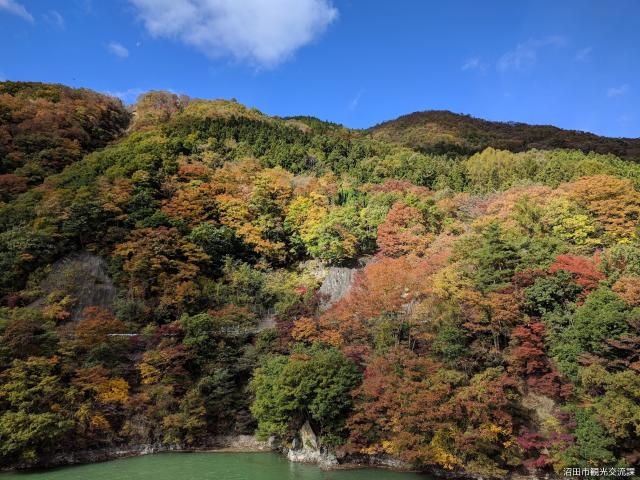 薗原湖の紅葉の写真1