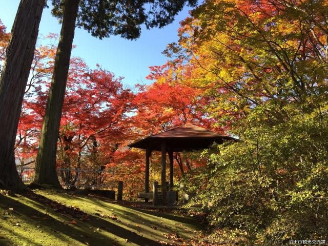 沼田公園の紅葉の写真1