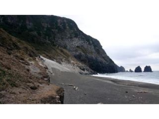 淡井浦海岸海水浴場の写真1