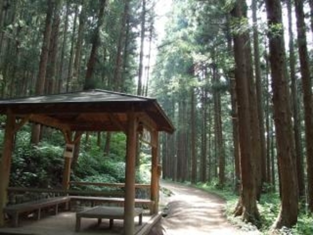 ゆみち遊歩道の写真1