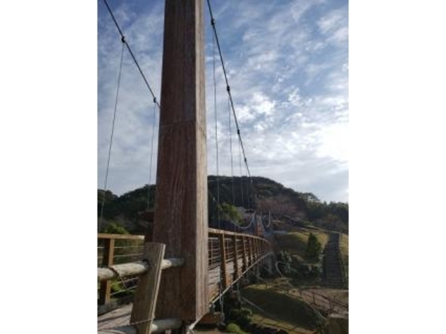 文化の森公園の写真1