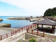 まついそ公園の写真2