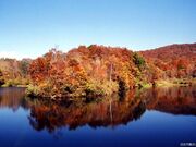 玉原高原の紅葉の写真3