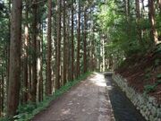 ゆみち遊歩道の写真2