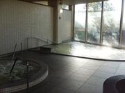 飛島村ふれあい温泉の写真1