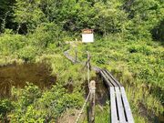 山室湿原の写真4