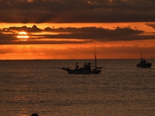 初日の出の写真1